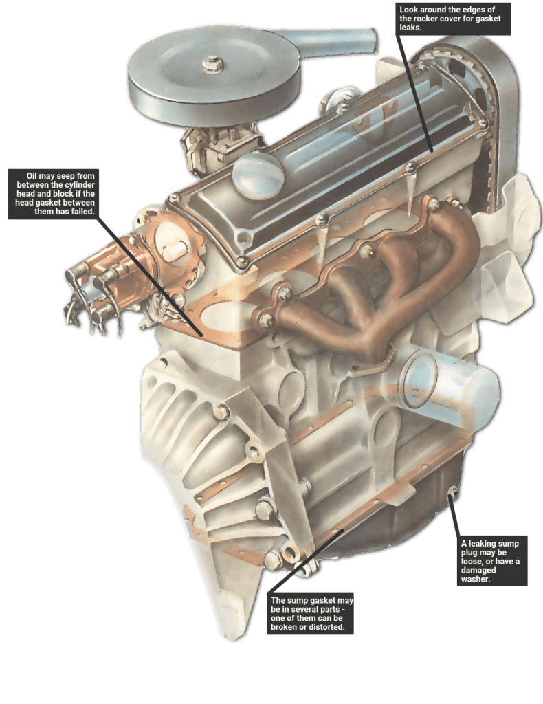 How Do I Check For Oil Leaks And Engine Oil Quality In A Used Car?